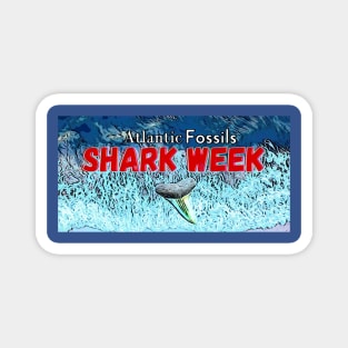 Shark Week Waves and Shark Tooth Magnet