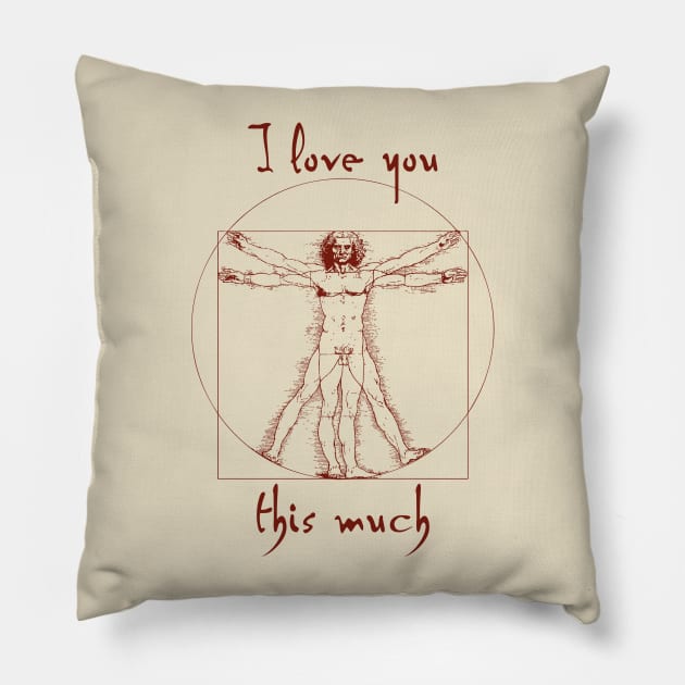 Vitruvian Love Pillow by GrumpyVulcan