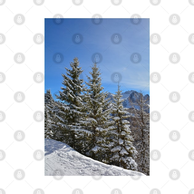 Snowy Trees on Monte Lussari by jojobob