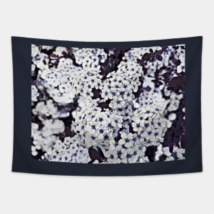 Bush of flowers in white and blue, altered photography Tapestry