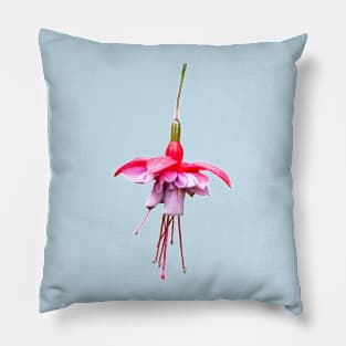 Pink Fuchsia Pillow