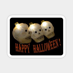 Halloween skulls Magnet