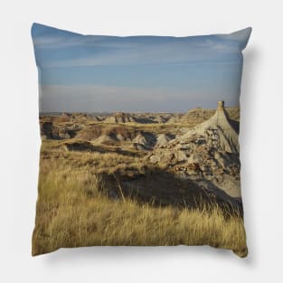 Dusty Views Pillow