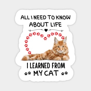 All I Need To Know About Life I Learned From My Cat Magnet