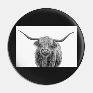 Highlander Hairy Cow In Black And White Pin