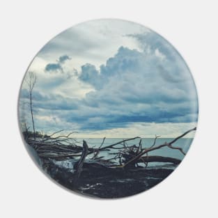 Fallen Trees by The Ocean Pin