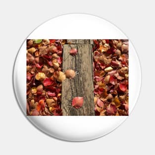 Autumn leaves on wood in the sunlight Pin