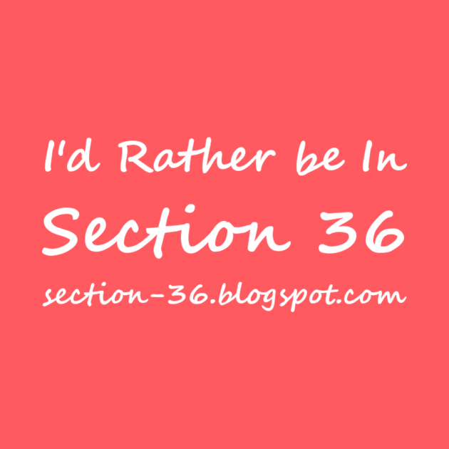 RBI Section 36 Script by Section36