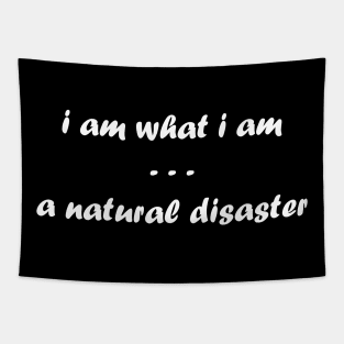 I Am What I Am. A Natural Disaster Tapestry