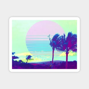 Vaporwave 3k Magnet