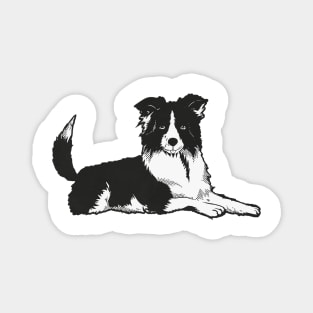 Border Collie dog pet Magnet
