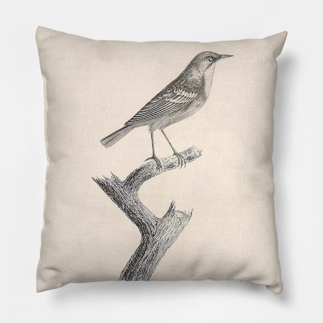 The Yellow-headed Warbler Pillow by ptMaker