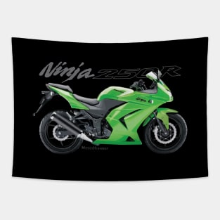 Kawasaki Ninja 250R 08 green, sl Tapestry