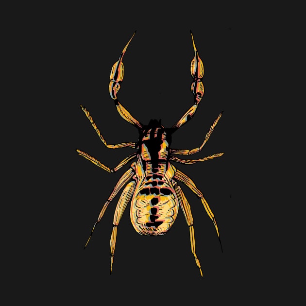 Pseudoscorpion 1 by A N Illustration