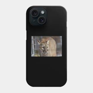 Cougar Phone Case