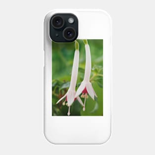 Fuchsia  'Roger de Cooker'  Triphylla Phone Case