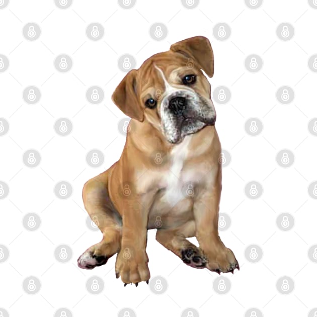 A Brown and White English Bulldog Puppy - just the dog. by Dogs Galore and More