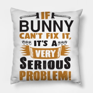 if bunny can't fix it it's a very serious problem Pillow