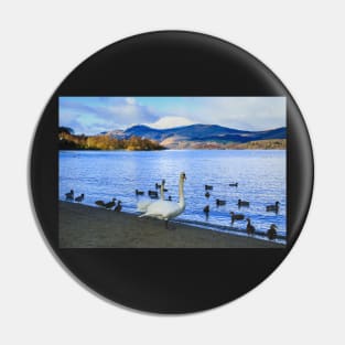 Loch Lomond Swans and Ducks Pin