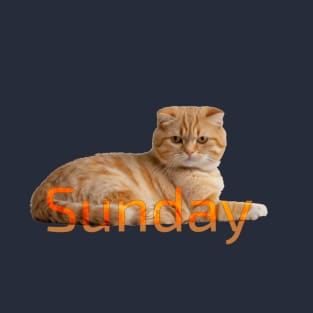 Sunday cat!. Don´t bother me please. T-Shirt