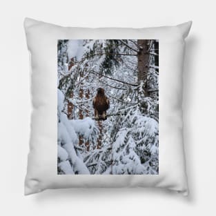 Lapland Pillow