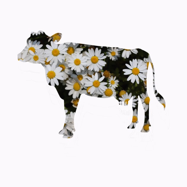 Cow by Sloth Station