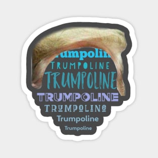 Trumpoline Magnet