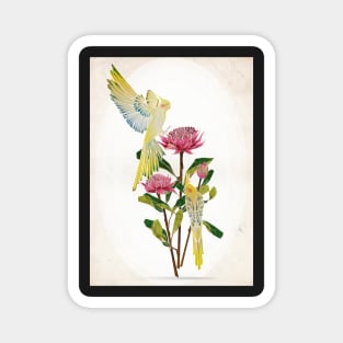 botanical birds Magnet