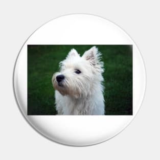 Westie Pin