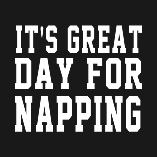 Its Great Day For Napping T-Shirt