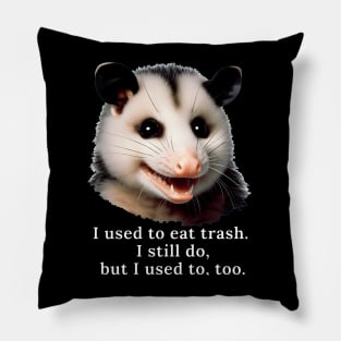 Possum Pillow