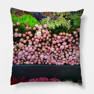 Parisian Peonies Pillow