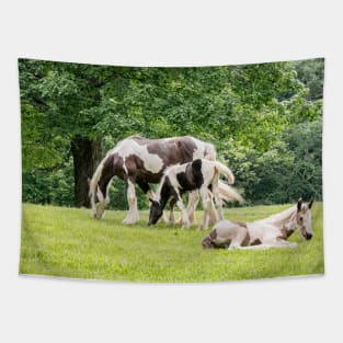 Lazy Grazing Horses Tapestry