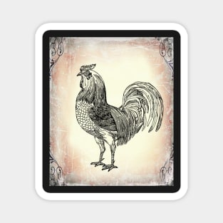 Antique Rooster on the Farm: Farmhouse decor Magnet