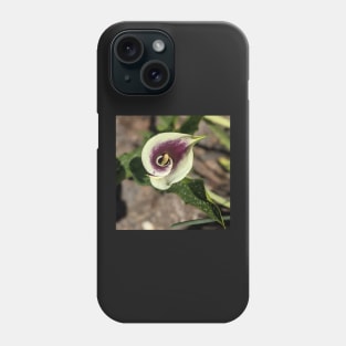 Calla Lily From the Top Photographic Image Phone Case