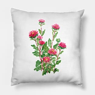 November 28th birthday flower Pillow