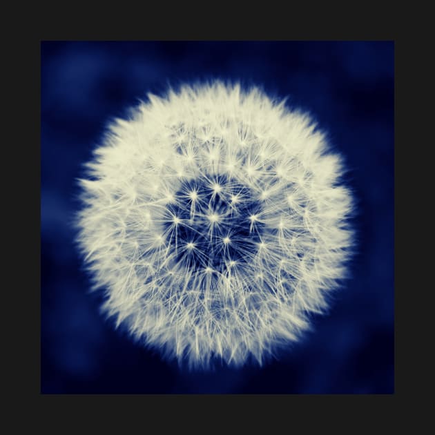 Dandelion by Nature-Arts