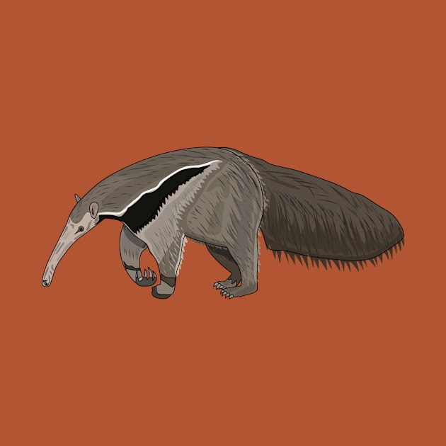 Anteater cartoon illustration by Miss Cartoon