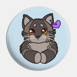 ty beanie graystripe Pin