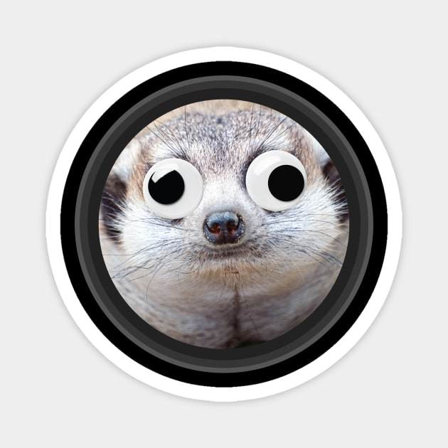 Meerkat with Googly Eyes Magnet by MooonTees