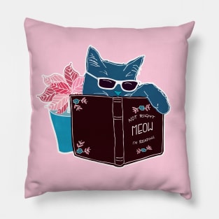 Cool Cat - Not Right Meow I'm Reading, Cat With Sunglasses Book Pillow