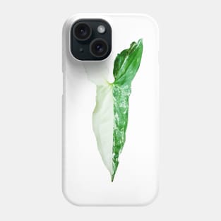 Unique and organic photo of a Syngonium Albo 6 Phone Case