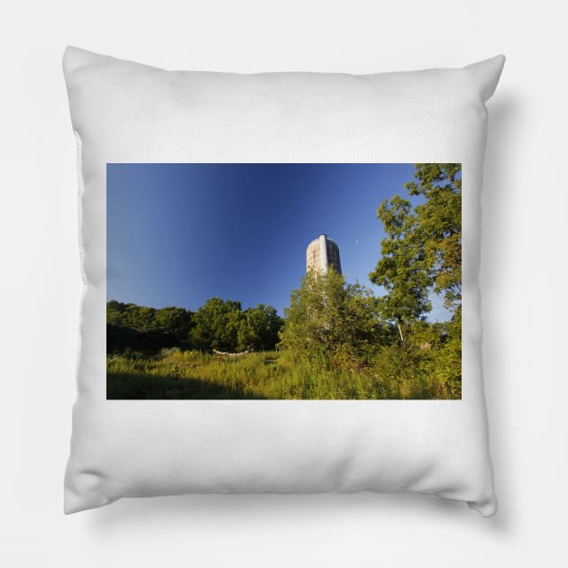 Silo with Tibetan Prayer Flags Pillow by ztrnorge