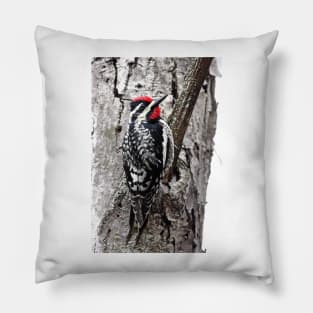 Yellow-bellied Sapsucker Pillow