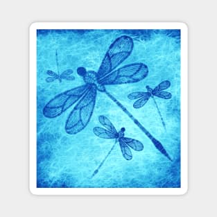 Beautiful dragonflies in blue Magnet