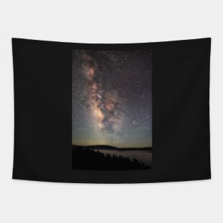 The Milky Way Over Redwood Creek Tapestry