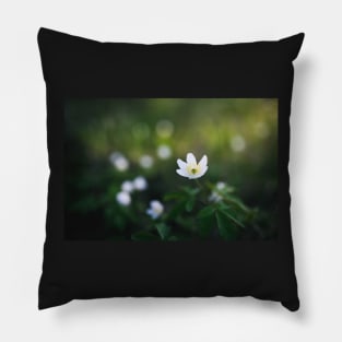 Anemone nemorosa flower in the forest Pillow