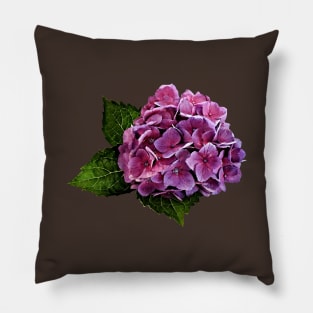 Hydrangeas - Maroon Hydrangea Pillow