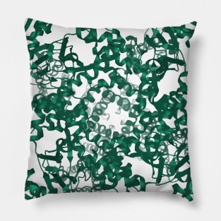 hERG (human Ether-a-go-go channel) color Pillow