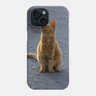 Sun-Kissed Feline: A Ginger Cat Enjoys the Outdoors Phone Case